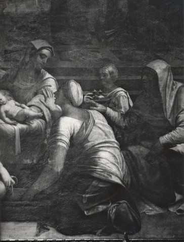Carletti, Angelo — Luciani Sebastiano; Rossi de' Francesco - sec. XVI - Lavanda di Maria Vergine — particolare